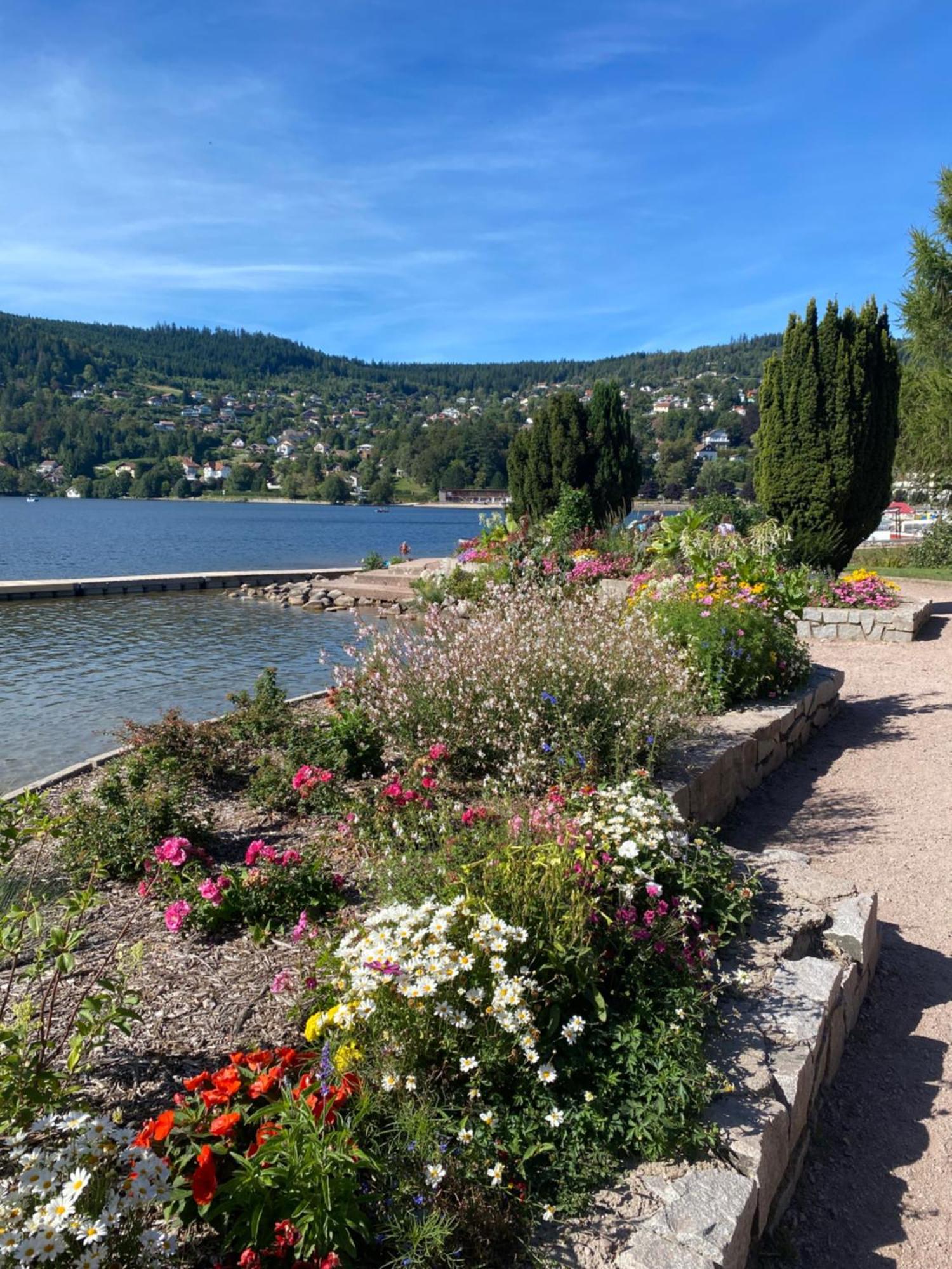Charmant Chalet, Spacieux, Proche Du Lac, Vue Sur La Montagne Gerardmer Exterior photo
